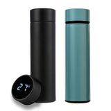 Water Bottle with Temperature Display